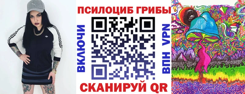 Псилоцибиновые грибы Psilocybe  блэк спрут зеркало  Верхняя Пышма 