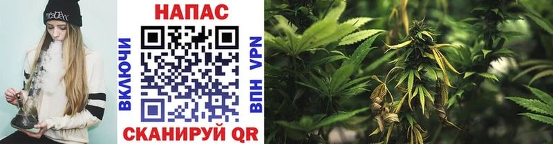 Бошки Шишки SATIVA & INDICA  закладка  Верхняя Пышма 